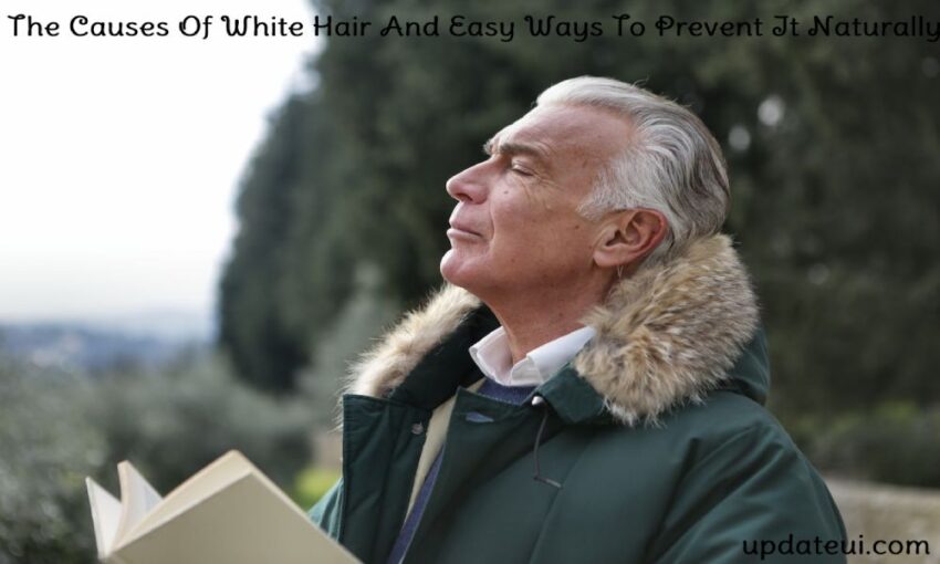 Causes Of White Hair And Easy Ways To Prevent It Naturally